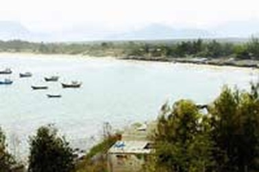 Nguyễn Đức Chi đã “lót tay” 700.000 USD để chạy dự án?