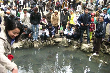 Đầu năm đi xem suối cá thần