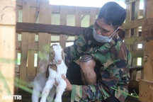 Chuyện về người từng vướng 7 năm lao lý, nay đã "sống khỏe" nhờ nuôi dê