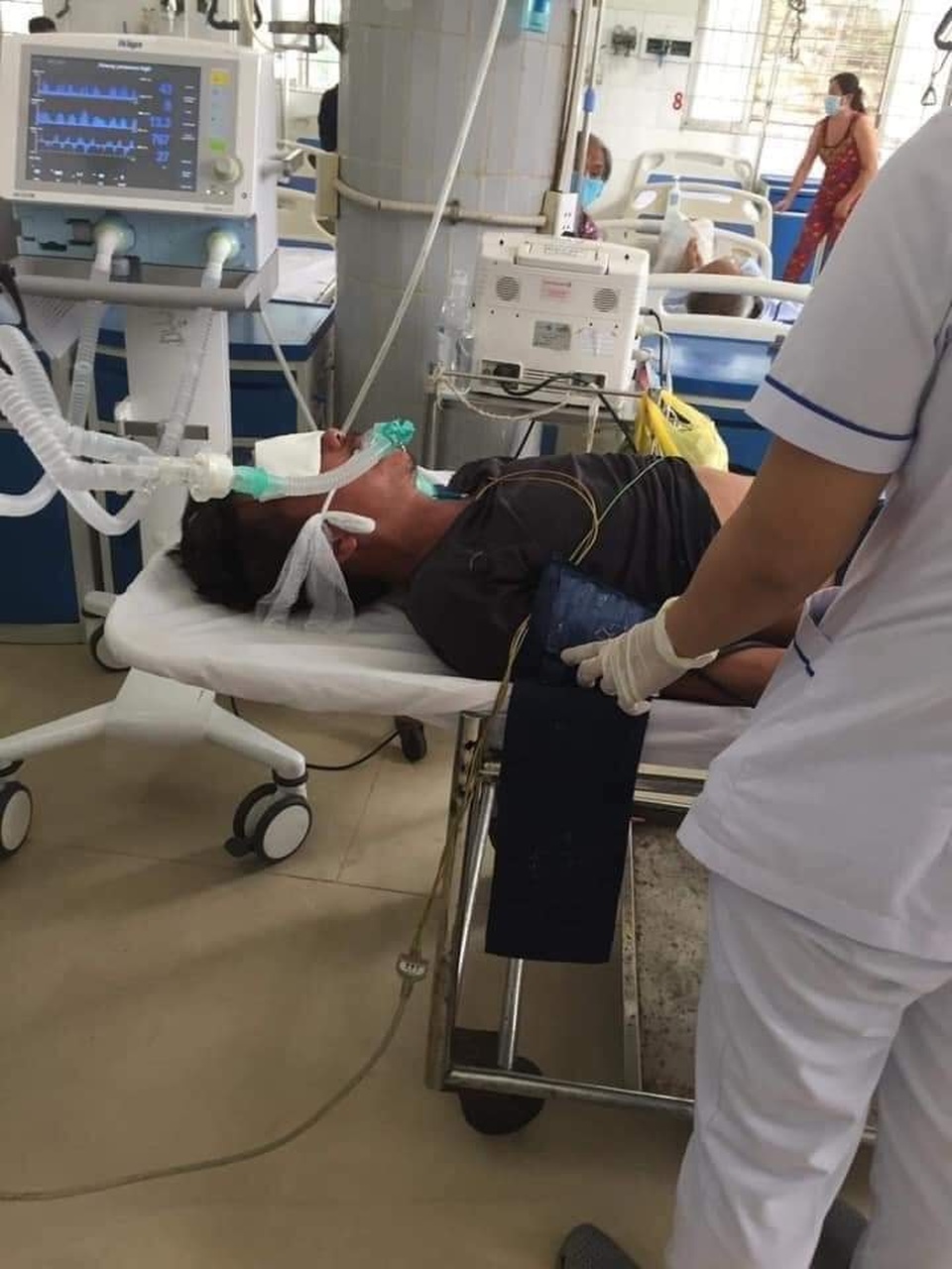 Bị rắn hổ chúa khủng cắn, người đàn ông ôm hung thủ nhập viện cấp cứu - 4 Bị rắn hổ chúa khủng cắn, người đàn ông ôm hung thủ nhập viện cấp cứu - 4