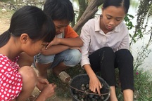 Bố chết, mẹ đau, 3 chị em mò ốc ăn vì hết gạo