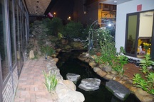 Công an Quảng Ninh cảnh báo nguy cơ trẻ đuối nước tại bể cá Koi gia đình