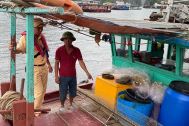 Phát hiện tàu cá tàng trữ ngư cụ cấm để khai thác thủy sản trái phép