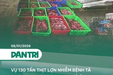 Vụ 130 tấn thịt lợn nhiễm bệnh tả châu Phi: Phát hiện virus cả ở thành phẩm