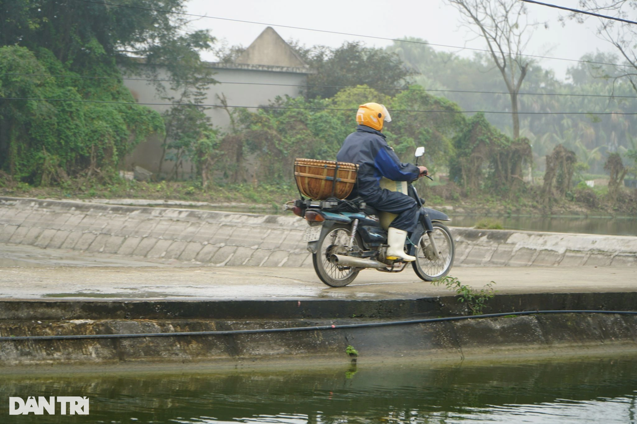 Vét hồ gom 3 tấn cá chép, kiếm gọn trăm triệu trước ngày ông Táo về trời - 11 Vét hồ gom 3 tấn cá chép, kiếm gọn trăm triệu trước ngày ông Táo về trời - 11