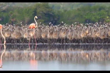 Đắm chìm trong vẻ đẹp huyền diệu của thế giới tự nhiên trên khắp hành tinh