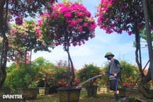 Từ vùng quê ven đô đến những triệu phú làng hoa