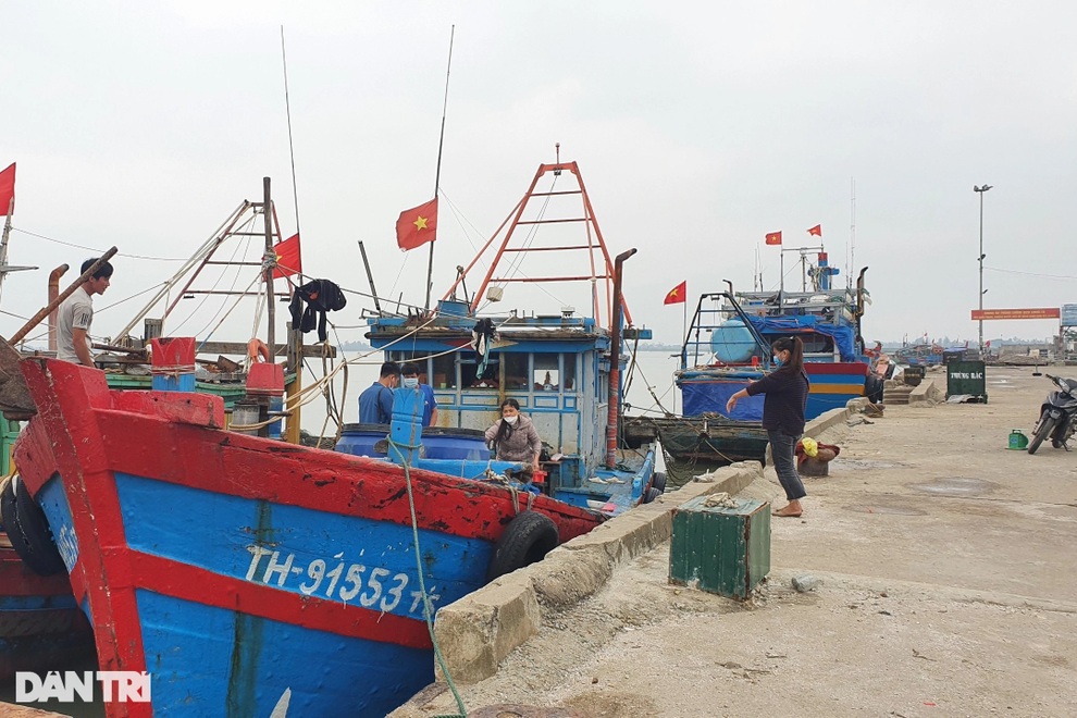 Mỗi chuyến ra khơi 2 ngày đêm, thu nhập ngư dân chỉ đạt khoảng 100.000 đồng - 1 Mỗi chuyến ra khơi 2 ngày đêm, thu nhập ngư dân chỉ đạt khoảng 100.000 đồng - 1