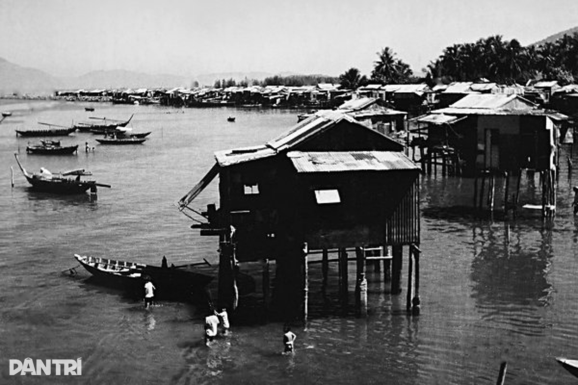 Ký ức nhà chồ Đà Nẵng qua bộ ảnh hiếm, chụp từ những năm 1980 - 5 Ký ức nhà chồ Đà Nẵng qua bộ ảnh hiếm, chụp từ những năm 1980 - 5