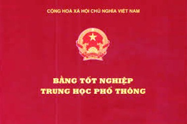 Sử dụng bằng cấp 3 giả vẫn ngồi ghế giám đốc suốt 14 năm