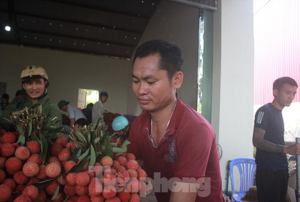 Đời phu vải - 1 Đời phu vải - 1