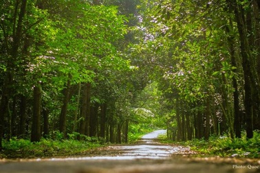 Trường ĐH Lâm Nghiệp Việt Nam đào tạo đáp ứng nhu cầu xã hội