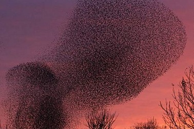 Những hình ảnh nổi bật tuần qua