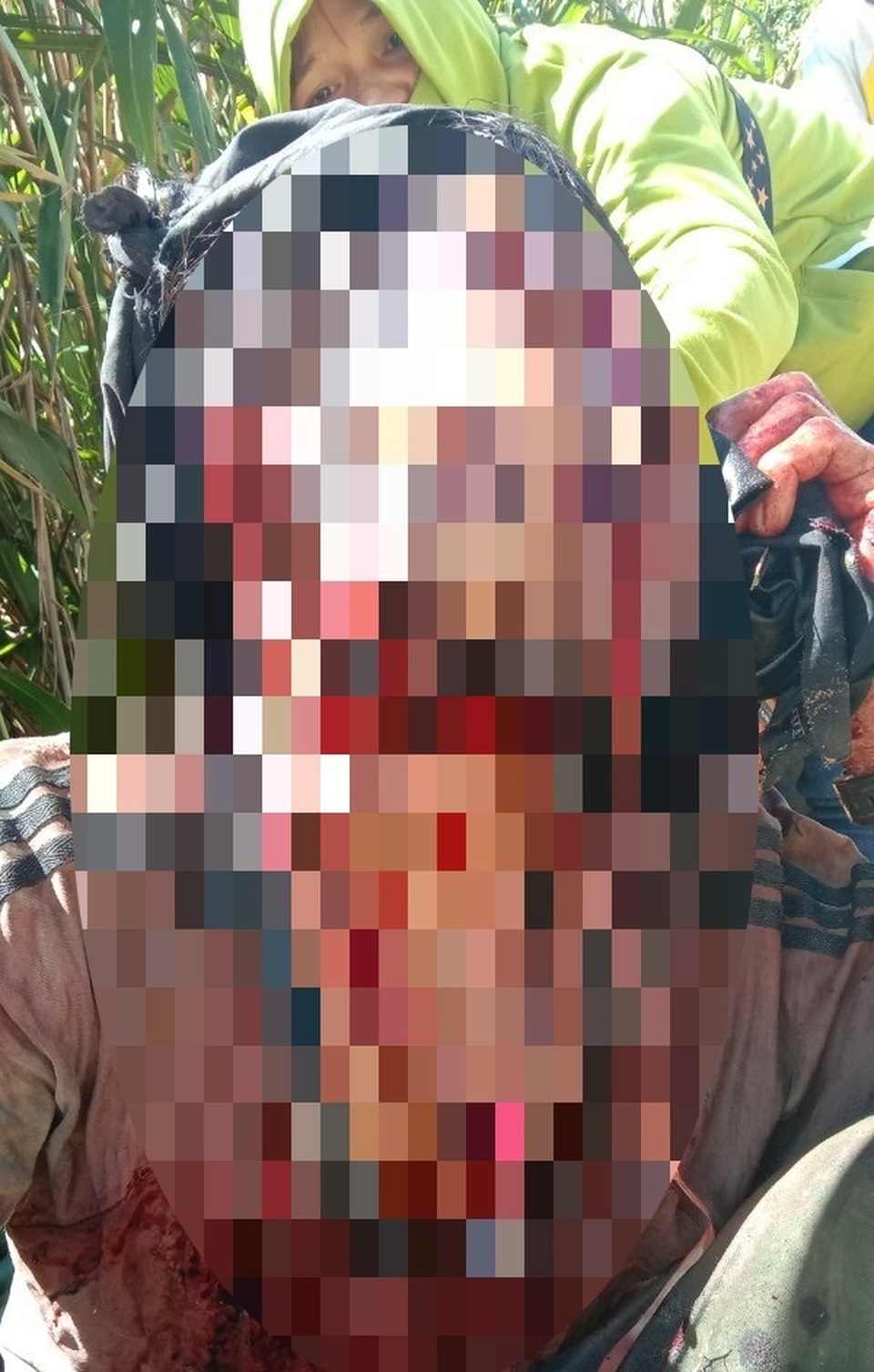 Một người Quảng Nam bị gấu tấn công trọng thương - 1 Một người Quảng Nam bị gấu tấn công trọng thương - 1
