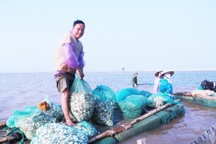 Ninh Bình di dời dân ngoài đê Bình Minh III đến nơi an toàn