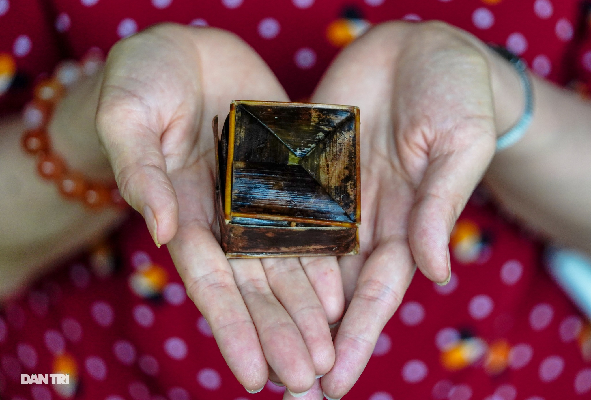 Về Cồn Sơn xem cá lóc… bú bình, ăn cơm phải… đút - 16