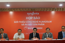 Incipio 200SC hứa hẹn mang đến giải pháp đột phá trừ sâu cuốn lá hại lúa