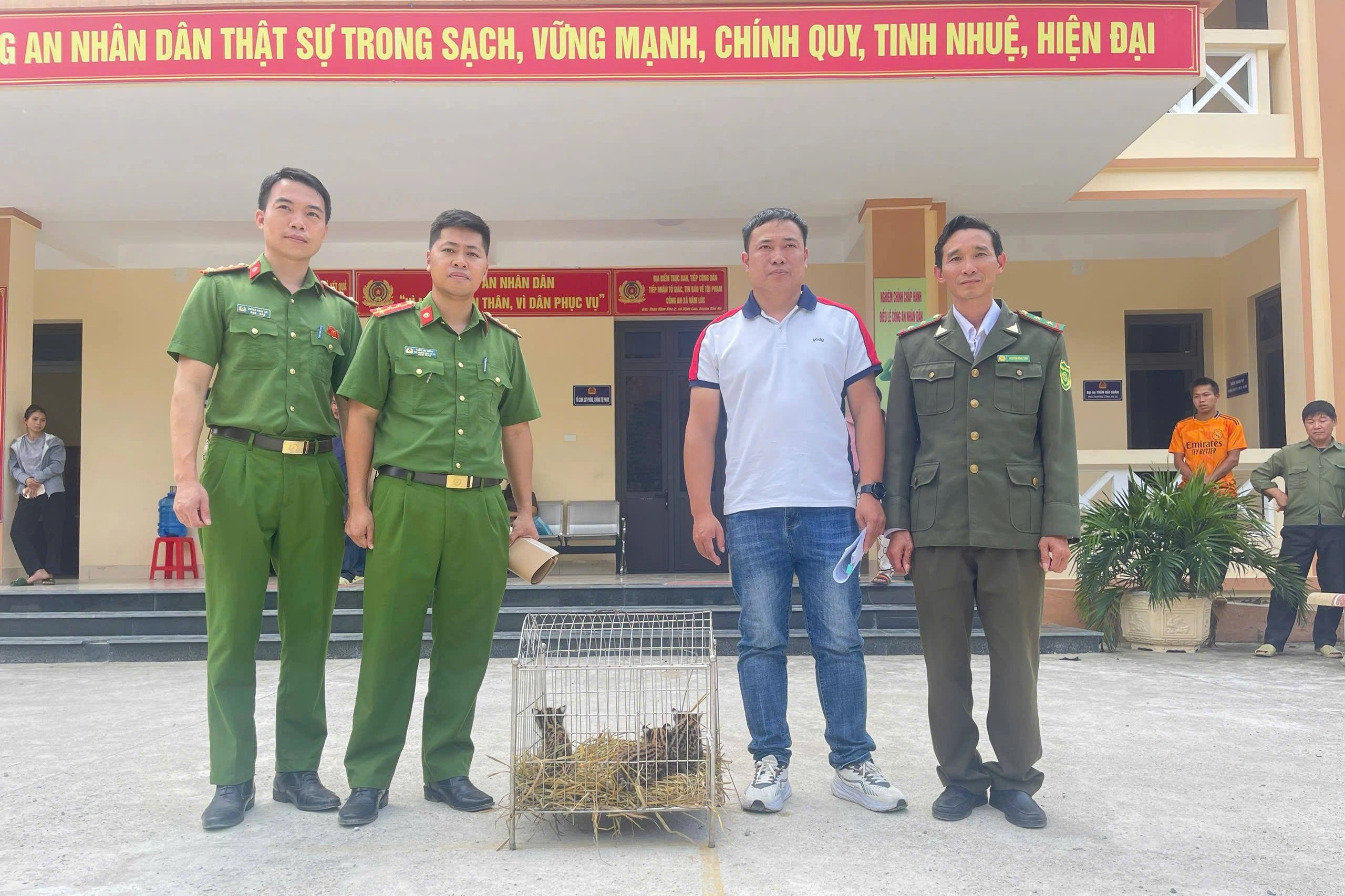 Phát hiện 3 cá thể mèo rừng quý hiếm, người đàn ông mang nộp công an - 2