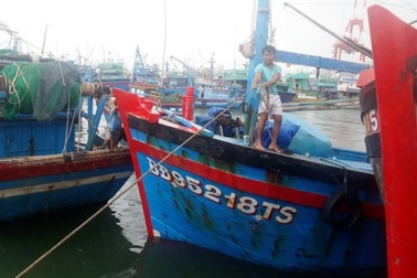 Ngư dân Bình Định chủ động neo đậu tàu thuyền “né” bão số 9
