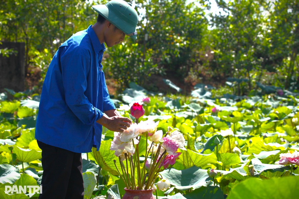 Chàng kỹ sư trẻ bỏ việc ở thủ đô về quê bắt bãi đất hoang nở ra tiền - 5 Chàng kỹ sư trẻ bỏ việc ở thủ đô về quê bắt bãi đất hoang nở ra tiền - 5