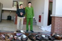 Tạm giữ đối tượng mua bán hàng chục cá thể khỉ, beo đốm quý hiếm