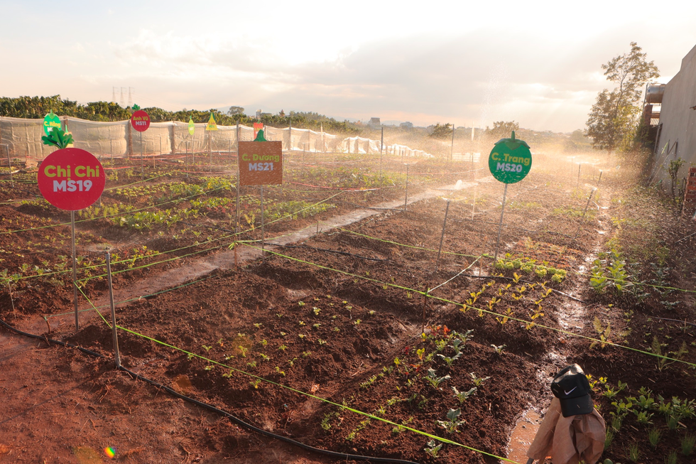 Thủ khoa Ngoại thương 24 tuổi bỏ việc nhẹ lương cao, về quê trồng rau sạch - 5 Thủ khoa Ngoại thương 24 tuổi bỏ việc nhẹ lương cao, về quê trồng rau sạch - 5