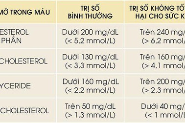 Mỡ máu cao có nguy hiểm không? Phương pháp giảm mỡ máu hiệu quả nhờ Lipidcleanz