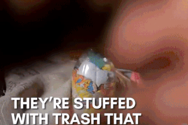 Gạch sinh thái - chìa khóa giải quyết bài toán ô nhiễm rác thải nhựa