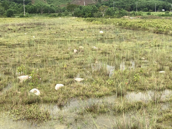 Phản hồi dự án La Tưng: Không thực hiện công tác đánh giá thổ nhưỡng - Ảnh 1. Phản hồi dự án La Tưng: Không thực hiện công tác đánh giá thổ nhưỡng - Ảnh 1.