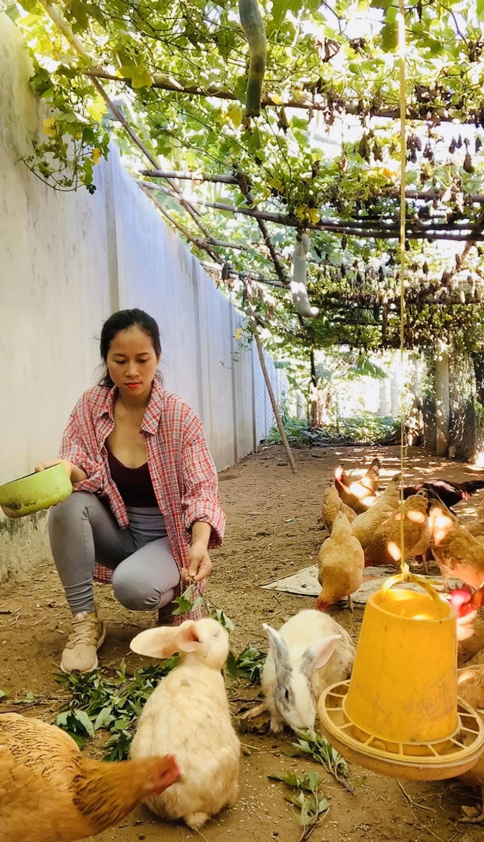 Cô gái Quảng Trị bỏ phố về quê làm nông nghiệp sạch, sống tối giản - 11 Cô gái Quảng Trị bỏ phố về quê làm nông nghiệp sạch, sống tối giản - 11