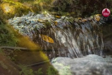 Hé lộ bí ẩn về dòng suối bốc mùi bia nồng nặc