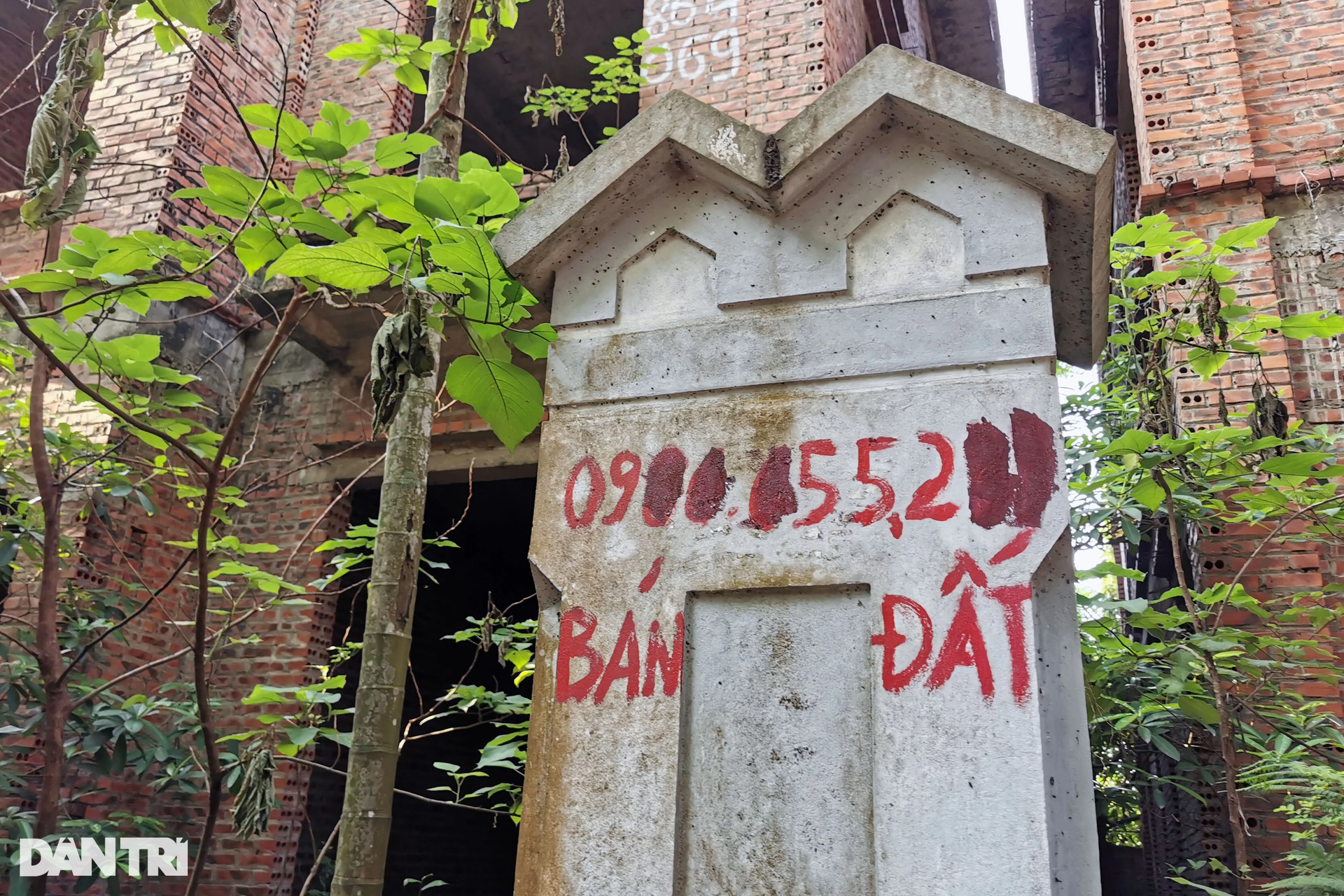 Châu Âu trong lòng Hà Nội - Bắc Ninh la liệt biệt thự bị bỏ hoang - 11 Châu Âu trong lòng Hà Nội - Bắc Ninh la liệt biệt thự bị bỏ hoang - 11