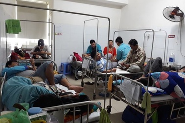 Đà Nẵng: Sốt xuất huyết có nguy cơ bùng phát cao
