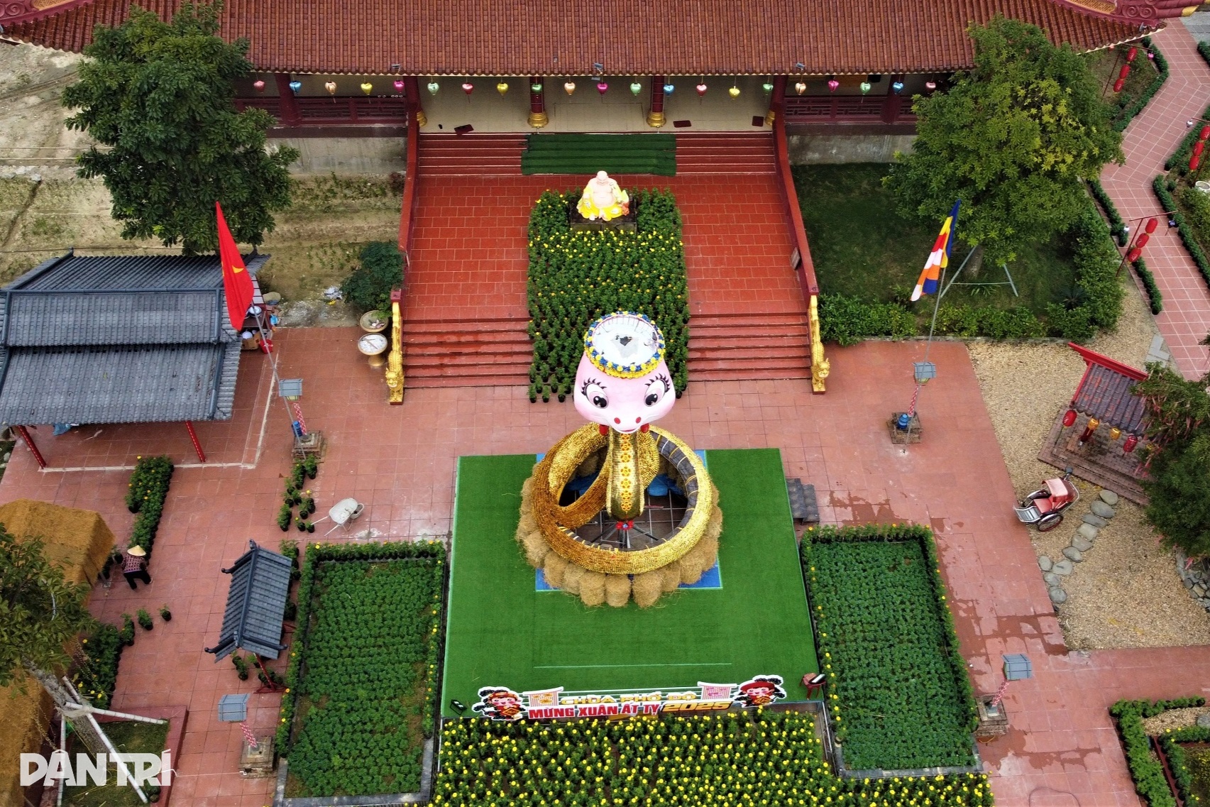 Супермилый талисман-змея в лавровом венке дебютирует - 2 Linh vật rắn siêu dễ thương, đầu đội vòng nguyệt quế trình làng - 2