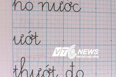 Sách tham khảo tiểu học lại ngọng đến buồn cười