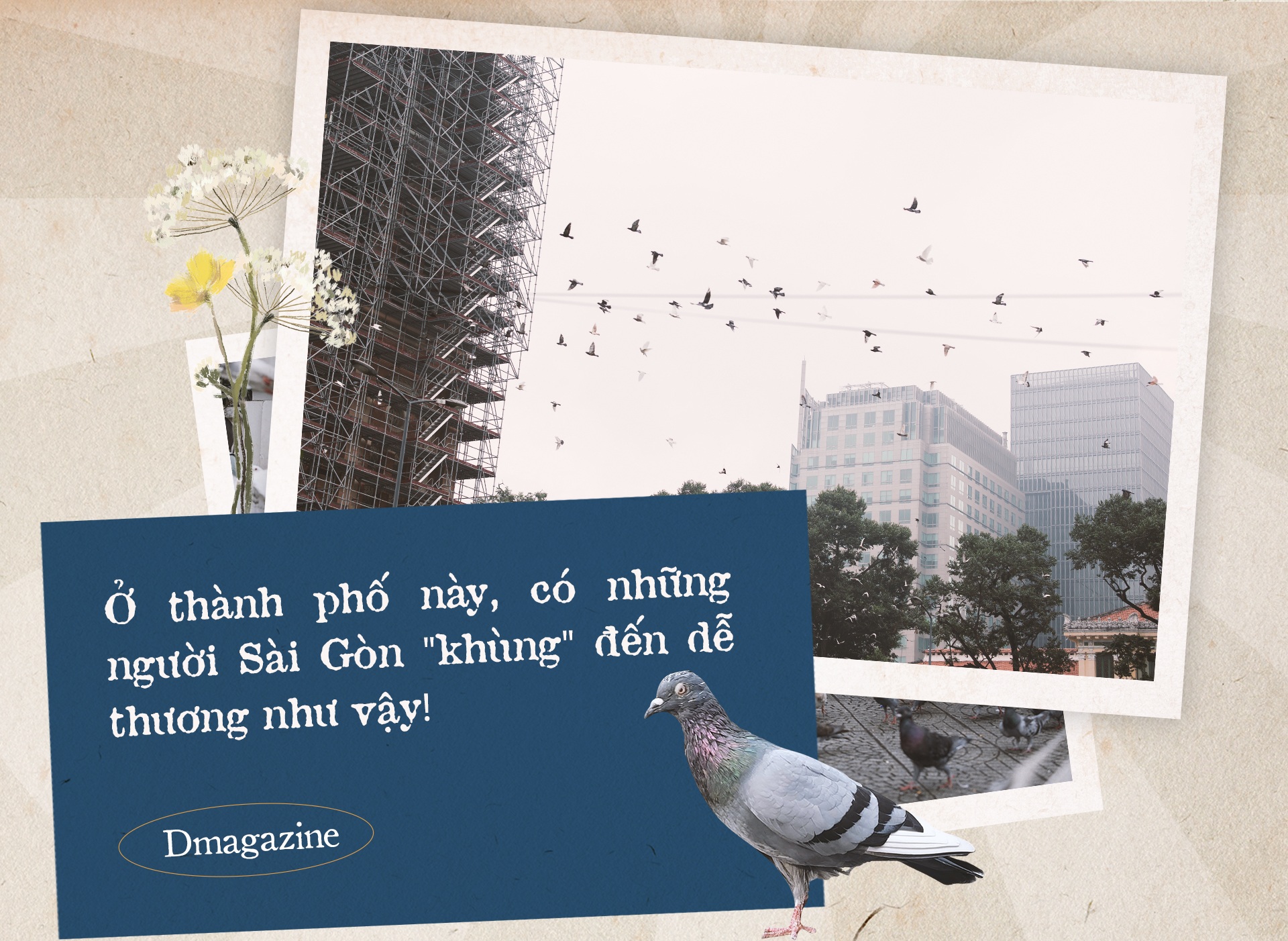Chú bồ câu một chân và bảo mẫu hơn 10 năm nuôi chim trời ở Nhà thờ Đức Bà - 15 Chú bồ câu một chân và bảo mẫu hơn 10 năm nuôi chim trời ở Nhà thờ Đức Bà - 15