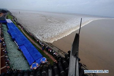 Đổ xô xem thuỷ triều hiếm gặp trên sông Tiền Đường