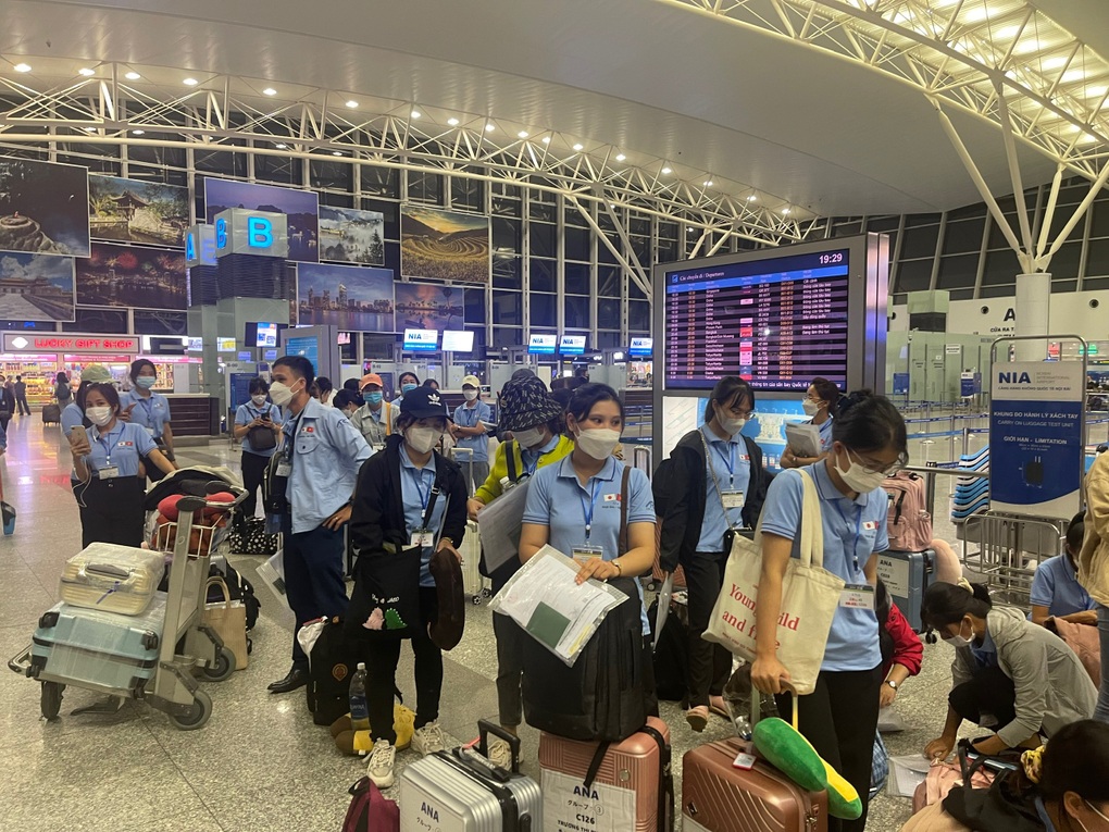 Điều kiện để đi lao động ở Hàn Quốc với thu nhập 2 tỷ đồng/năm - 1 Điều kiện để đi lao động ở Hàn Quốc với thu nhập 2 tỷ đồng/năm - 1