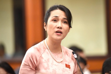 Đại biểu chất vấn lãnh đạo sở về đồ ăn trực tuyến, suất ăn học sinh ở TPHCM