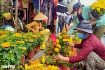 Giá hoa Tết leo thang chóng mặt, có loại đắt gấp 3