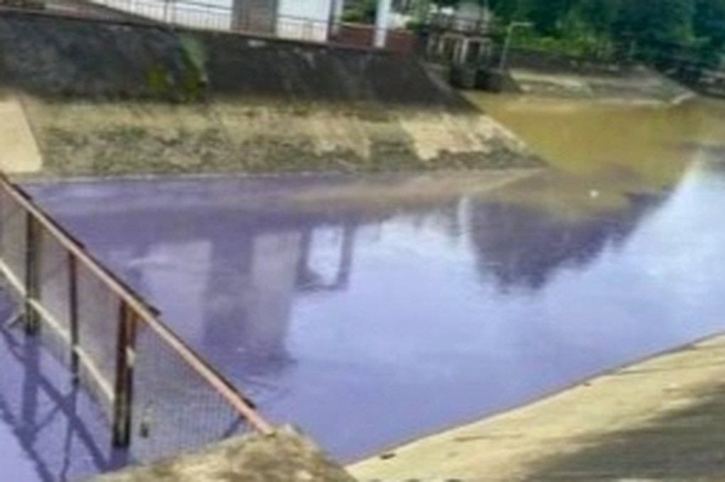 Nước kênh đổi màu tím bất thường ở Thanh Hóa - 1 Nước kênh đổi màu tím bất thường ở Thanh Hóa - 1