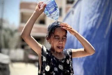 Nhân loại vừa trải qua đợt nóng nhất trong lịch sử, hàng nghìn người chết