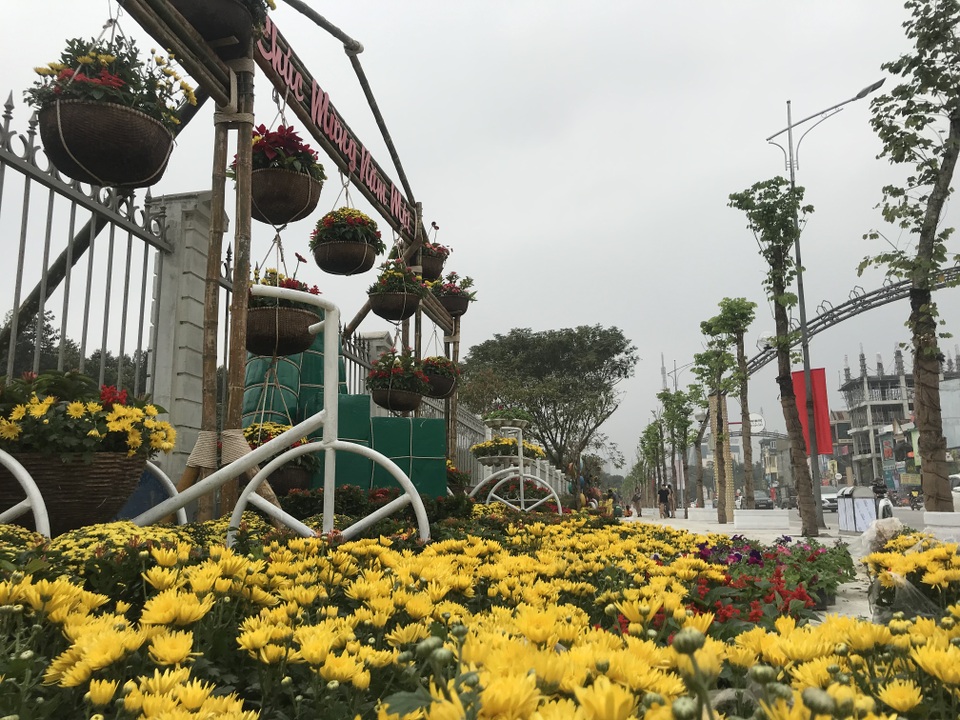 Ấn tượng những đường hoa rực rỡ sắc màu đón Tết ở thành Vinh  - 1