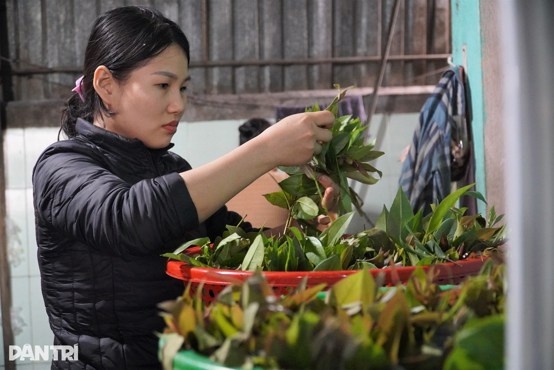 Ông chủ trẻ hốt bạc nhờ tuyệt chiêu nướng cá, ngày bán trăm con - 7 Ông chủ trẻ hốt bạc nhờ tuyệt chiêu nướng cá, ngày bán trăm con - 7