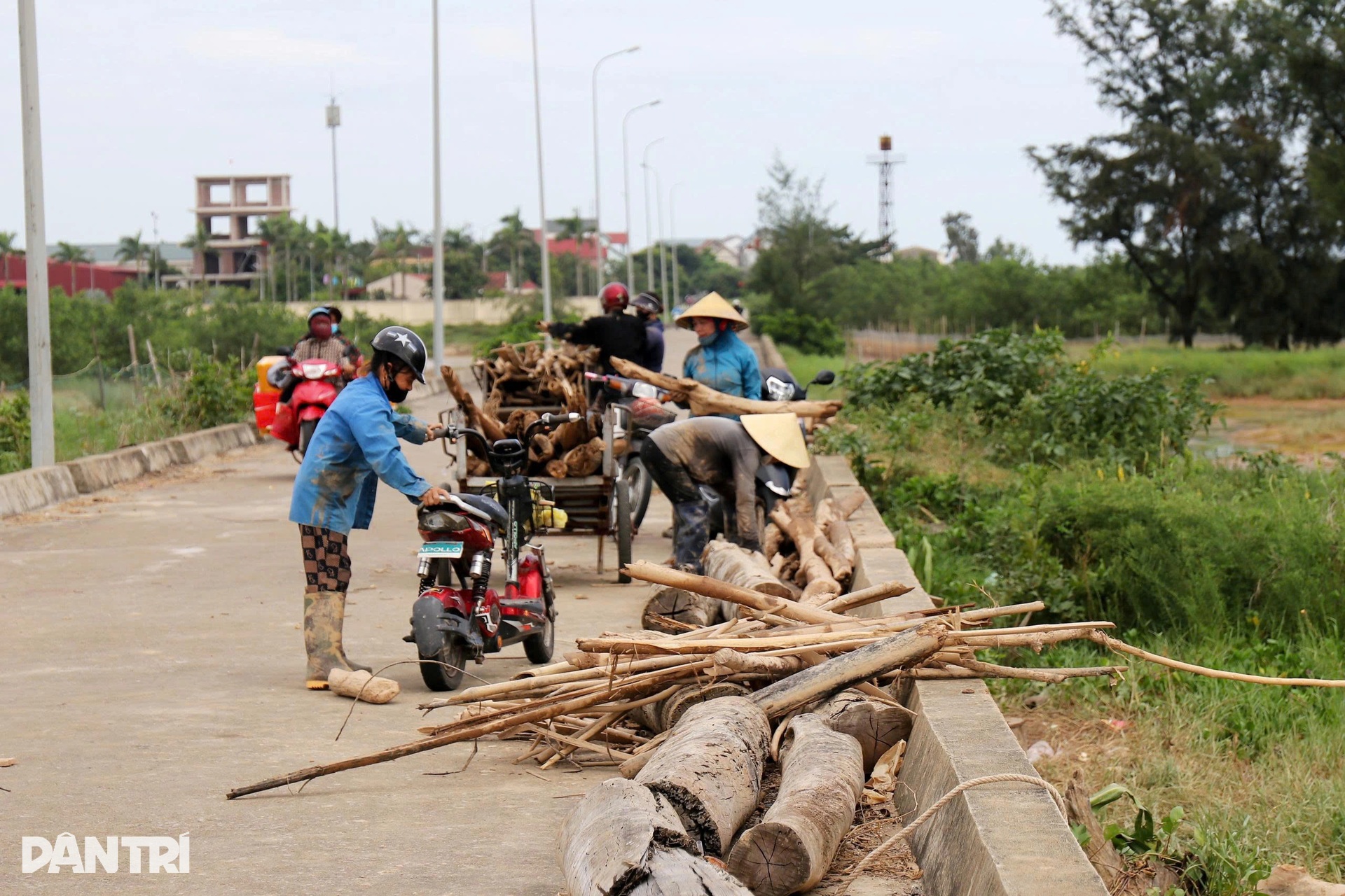 Gần 700 tấn rác bủa vây sau mưa lũ - 8 Gần 700 tấn rác bủa vây sau mưa lũ - 8