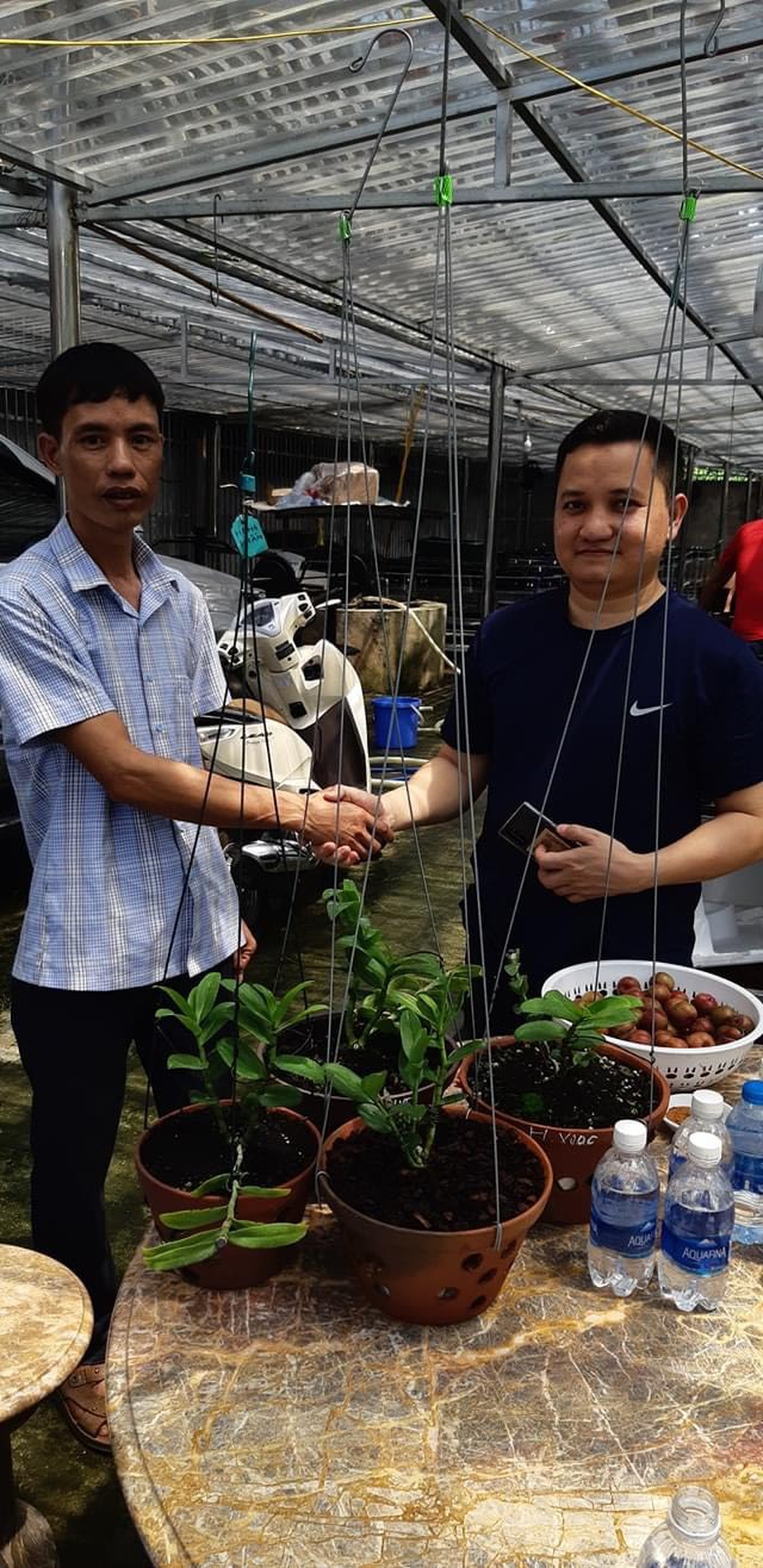 Nghệ nhân trồng lan Đỗ Văn Đạt chia sẻ cách chăm sóc cây con cho người mới bắt đầu - 4 Nghệ nhân trồng lan Đỗ Văn Đạt chia sẻ cách chăm sóc cây con cho người mới bắt đầu - 4