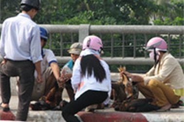 Cúng rằm, ngại thịt gà đã có thịt heo