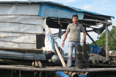 “Kỳ án” cái bè và con sò điệp ở huyện đảo Phú Quốc