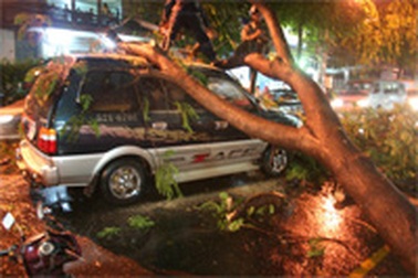 TPHCM: Mưa lớn ngập đường, cây ngã đè ô tô