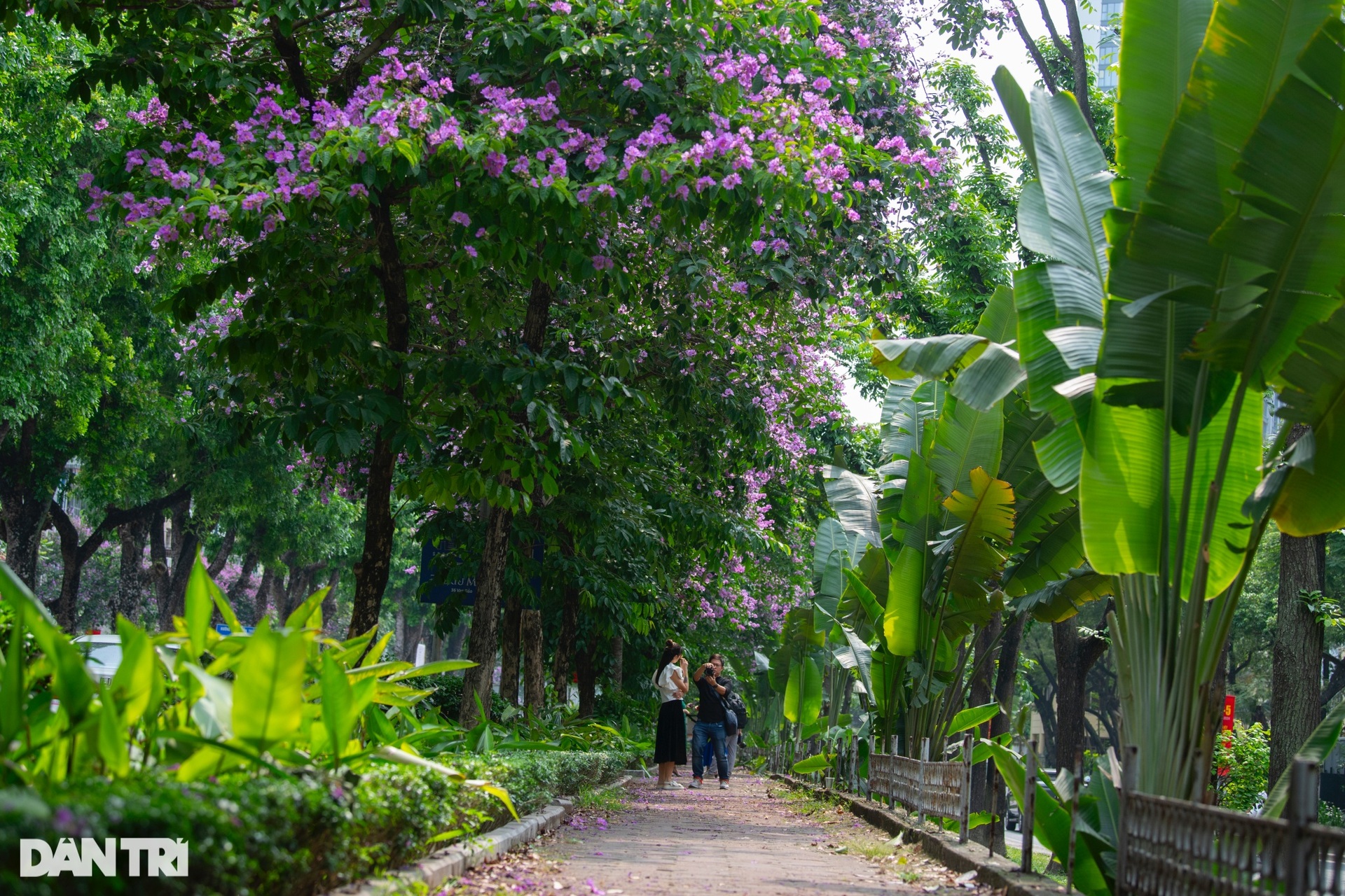 Giới trẻ xin nghỉ làm, tranh thủ 